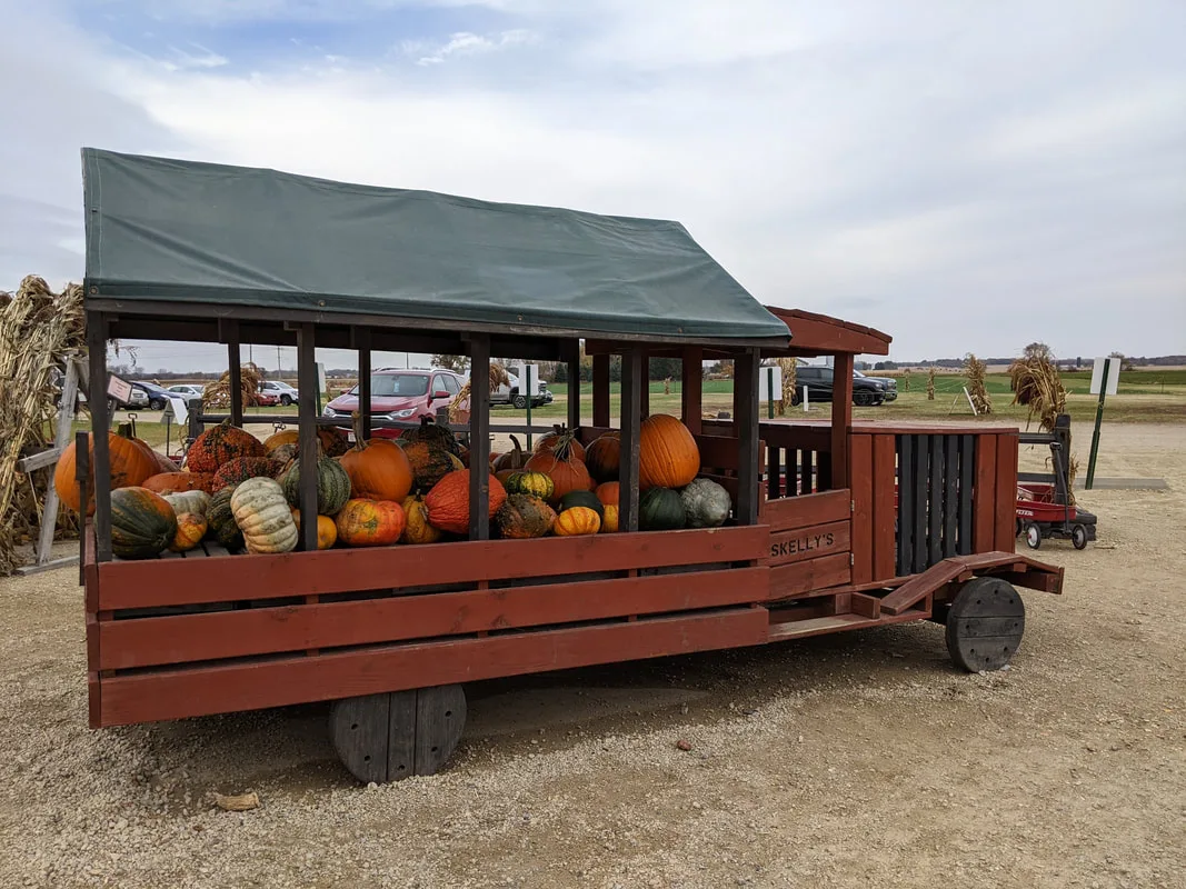 Pumpkin Display